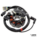 Piaggio Stator Vespa GTS Iget 2017-2025 (Spull set)