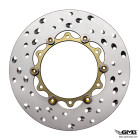 1O1 Factory Disc Brake RSR 6 Hole - GTS (stainless)