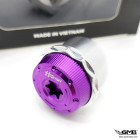 HT Factory Bolt Rear Axe Cover Vespa Sprint (also fit for front pulley) Silver Purple