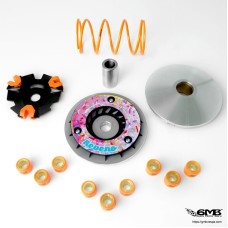 Reveno Variator Vespa GTS300HPE Strawberry Design