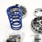 Polini Variator Kit High Speed Set for Vespa GTS150 I-get