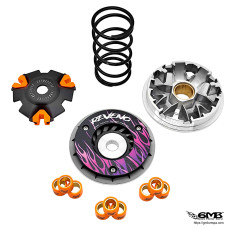 Reveno Variator Vespa Sprint & Primavera 150cc...