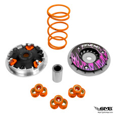 Reveno Variator Vespa GTS300 Phantom Purple