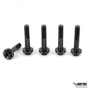 1O1 Factory Titanium Bolts For Front Wheel - Black