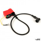 BGM Coil CDI kit(Sport)Px,Excel,Etc