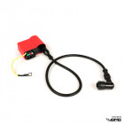 BGM Coil CDI kit(Sport)Px,Excel,Etc