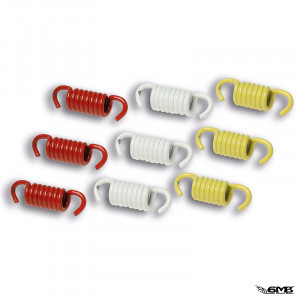 Malossi Racing Clutch Spring Set