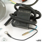 Malossi Ignition Vespa PX 1200gr Malossi Ignition Vespa PX 1200gr