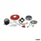 Malossi Ignition Vespa PX (900gr)