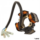 Malossi Ignition Vespa PX (900gr)