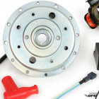 Malossi Ignition MKII PX200