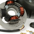 Pinasco Ignition Flytech 12V Vespa Sprint150, GT125, VBB - 1600g