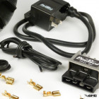 Pinasco Ignition Flytech 12V Vespa Sprint150, GT125, VBB - 1600g