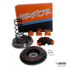 Reveno Variator Vespa Sprint & Primavera 150cc...