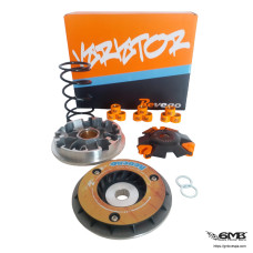 Reveno Variator Vespa Sprint & Primavera 150cc...