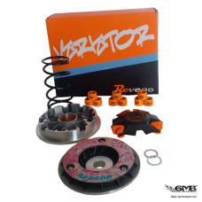 Reveno Variator Vespa Sprint & Primavera 150cc...
