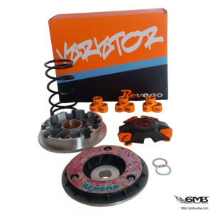 Reveno Variator Vespa Sprint & Primavera 150cc...