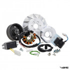 SIP Ignition Road Vespa 50-125/PV/ET3/PK50-125/S (Arus AC) SIP Ignition Road Vespa 50-125/PV/ET3/PK50-125/S (Arus AC)