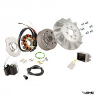 SIP Ignition Road Vespa 50-125/PV/ET3/PK50-125/S (Arus AC) SIP Ignition Road Vespa 50-125/PV/ET3/PK50-125/S (Arus AC)