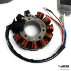 VAPE Ignition Vespa 125, VBB, GT,Super,Sprint,GL, etc