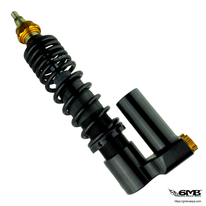 Zelioni Front Suspension HiLO edition For GTS - Black Glosy Zelioni Front Suspension HiLO edition For GTS - Black Glosy